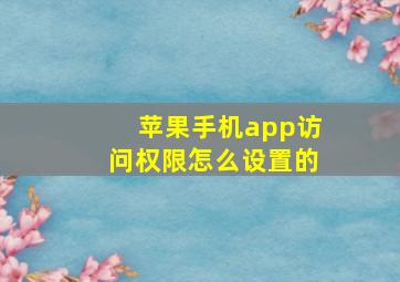 苹果手机app访问权限怎么设置的