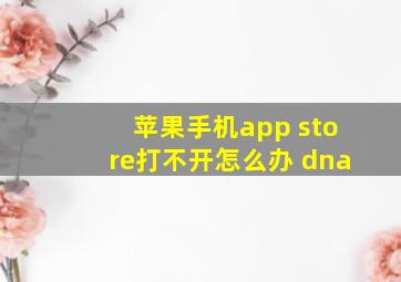 苹果手机app store打不开怎么办 dna