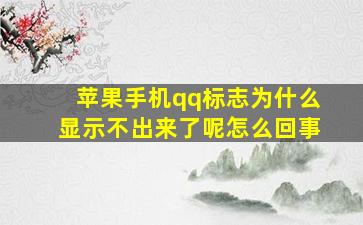 苹果手机qq标志为什么显示不出来了呢怎么回事