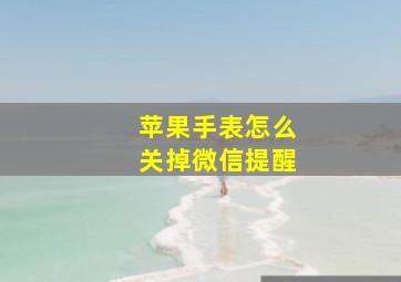 苹果手表怎么关掉微信提醒