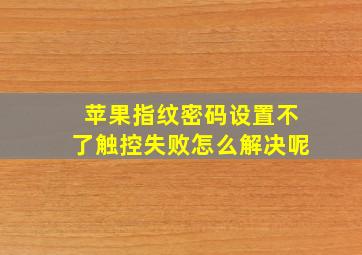 苹果指纹密码设置不了触控失败怎么解决呢