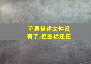 苹果描述文件没有了,但图标还在