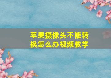 苹果摄像头不能转换怎么办视频教学