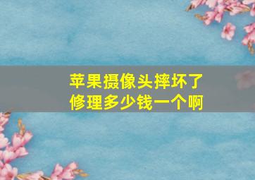 苹果摄像头摔坏了修理多少钱一个啊