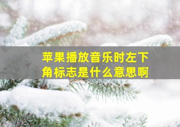 苹果播放音乐时左下角标志是什么意思啊