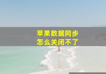 苹果数据同步怎么关闭不了