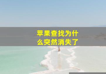 苹果查找为什么突然消失了