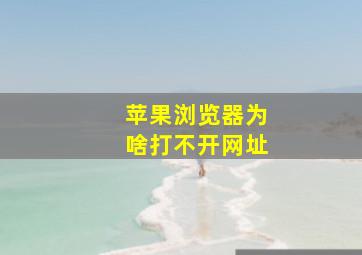 苹果浏览器为啥打不开网址