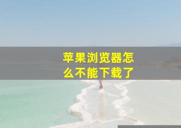 苹果浏览器怎么不能下载了