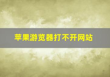 苹果游览器打不开网站