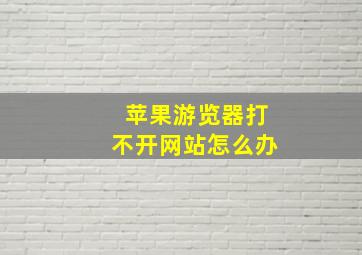 苹果游览器打不开网站怎么办