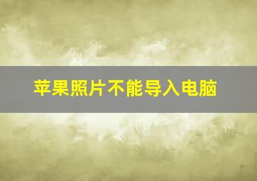 苹果照片不能导入电脑