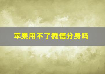 苹果用不了微信分身吗