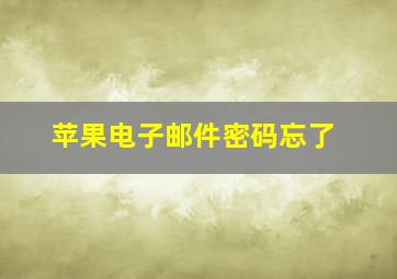 苹果电子邮件密码忘了