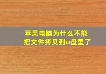 苹果电脑为什么不能把文件拷贝到u盘里了