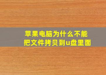 苹果电脑为什么不能把文件拷贝到u盘里面