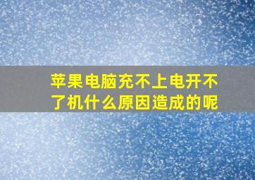 苹果电脑充不上电开不了机什么原因造成的呢