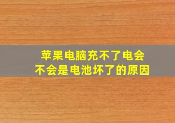 苹果电脑充不了电会不会是电池坏了的原因