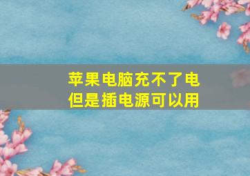 苹果电脑充不了电但是插电源可以用