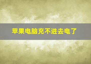 苹果电脑充不进去电了