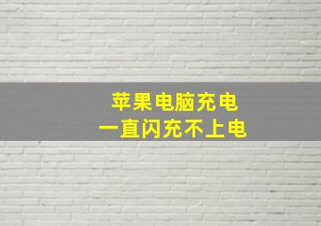 苹果电脑充电一直闪充不上电