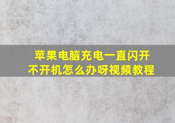 苹果电脑充电一直闪开不开机怎么办呀视频教程