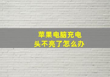 苹果电脑充电头不亮了怎么办