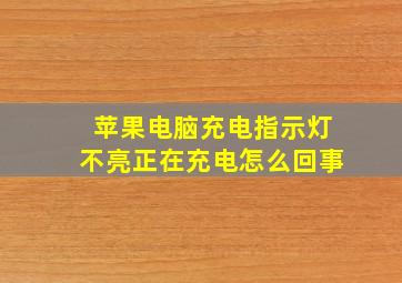 苹果电脑充电指示灯不亮正在充电怎么回事