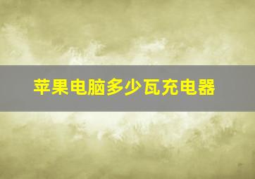 苹果电脑多少瓦充电器