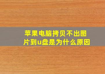 苹果电脑拷贝不出图片到u盘是为什么原因