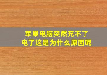 苹果电脑突然充不了电了这是为什么原因呢