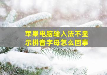 苹果电脑输入法不显示拼音字母怎么回事