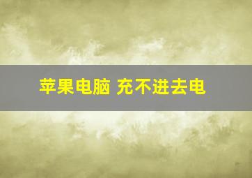 苹果电脑 充不进去电