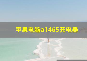 苹果电脑a1465充电器