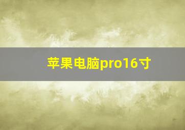 苹果电脑pro16寸