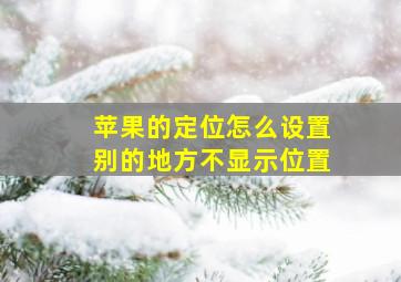 苹果的定位怎么设置别的地方不显示位置