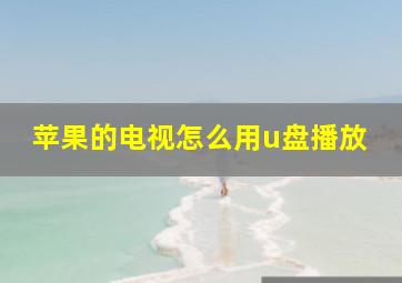 苹果的电视怎么用u盘播放