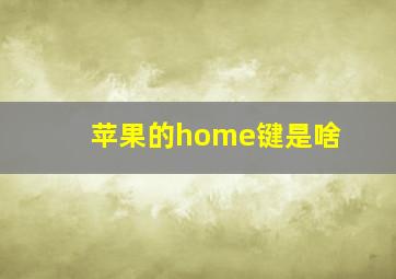 苹果的home键是啥