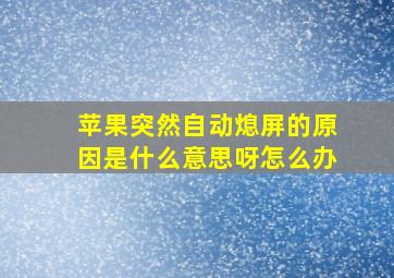 苹果突然自动熄屏的原因是什么意思呀怎么办