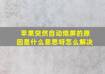 苹果突然自动熄屏的原因是什么意思呀怎么解决