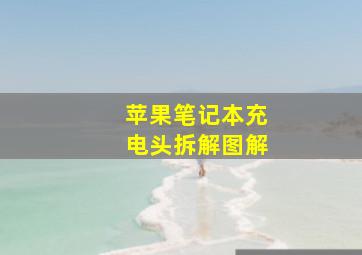 苹果笔记本充电头拆解图解