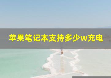 苹果笔记本支持多少w充电