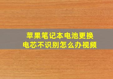 苹果笔记本电池更换电芯不识别怎么办视频