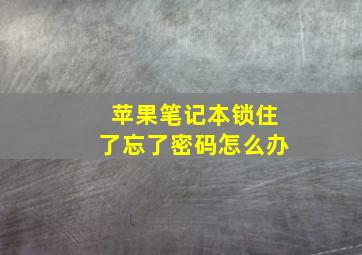 苹果笔记本锁住了忘了密码怎么办