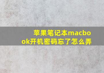 苹果笔记本macbook开机密码忘了怎么弄