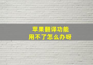 苹果翻译功能用不了怎么办呀