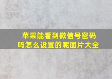 苹果能看到微信号密码吗怎么设置的呢图片大全