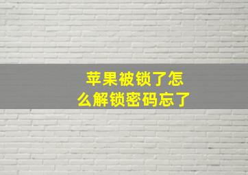 苹果被锁了怎么解锁密码忘了