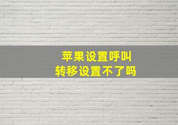 苹果设置呼叫转移设置不了吗