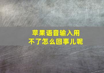 苹果语音输入用不了怎么回事儿呢